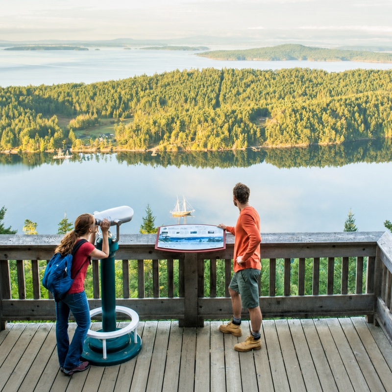 Visitors look out over a forested coastline.